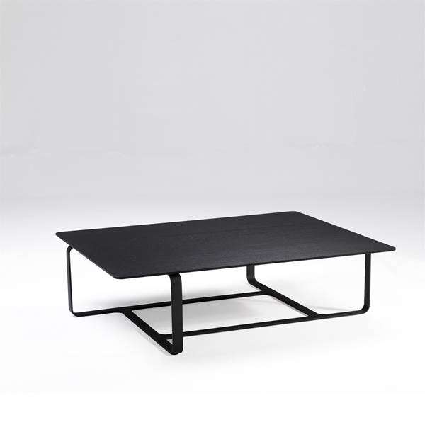 Root - Wide Rectangular Coffee Table